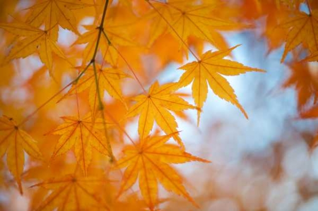 9月になりましたね！！